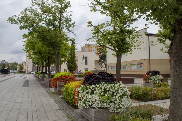 Belchatow Poland Juli 2019 Stadtbild Der Fußgängerzone Der Polnischen Stadt — Stockfoto