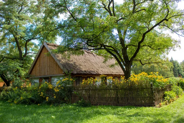 Authentic Reconstructed House Last Century Thatched Roof Patio Wicker Fence — Stock Photo, Image