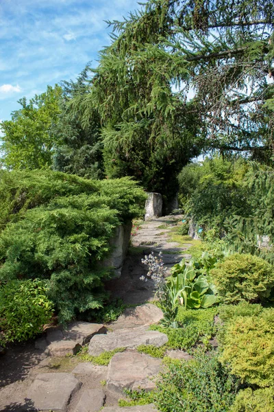 Piękne Zielone Krajobrazy Polskiego Ogrodu Botanicznego Drzewa Krzewy Kwiaty Różnych — Zdjęcie stockowe