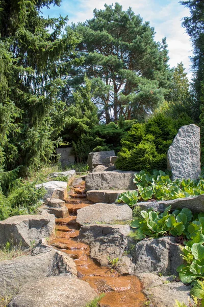 Los Coloridos Paisajes Del Jardín Botánico Europeo Árboles Hoja Caduca — Foto de Stock