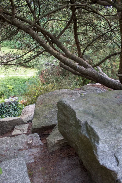 Los Coloridos Paisajes Del Jardín Botánico Europeo Árboles Hoja Caduca — Foto de Stock