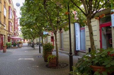 Lodz/ Polonya - 17 Ağustos 2019: Ağaçlar ve tırmanma bitkileri ile rahat parlak avlu, Polonya şehrinin ana caddenin eski binalarında bir kafe.