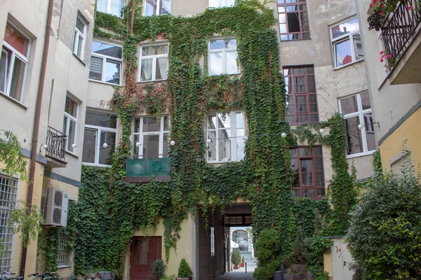 European Architecture Colorful Patio Old European House Entwined Green Ivy — Stock Photo, Image