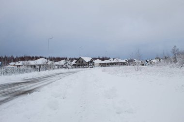 Kar fırtınası ve kar yağışı. Şehir parkındaki güzel kar manzarası. Ormanda kış. Yeni yıl manzarası. Ağaçlarda taze kar..