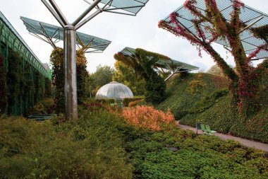 Geleceğin kozmik sonbahar manzarası. Güneş panellerine benzeyen alışılmadık metal yapılara tırmanan bitkiler..