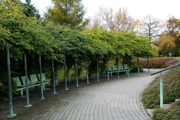 Posto Tranquillo Bello Rilassarsi Una Panchina Verde Metallo Sotto Corone — Foto Stock