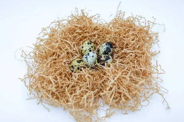Fünf Wachteleier Liegen Einem Nest Auf Weißem Hintergrund Nahaufnahme — Stockfoto