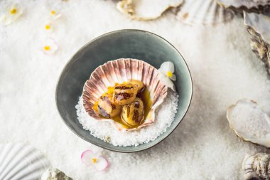 Tarak kabuk tuz granül gri kase pişmiş