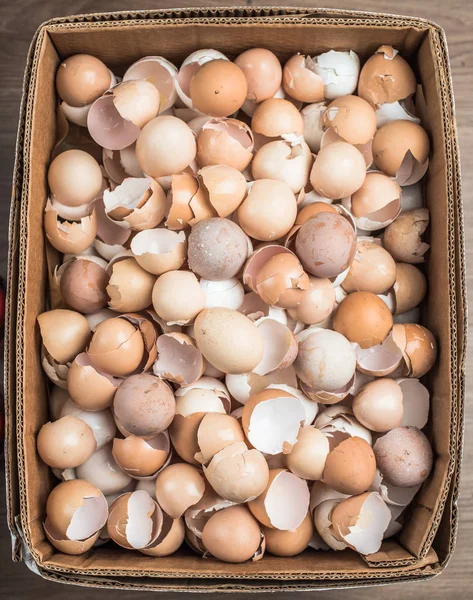 Empty egg shells in cartoon box