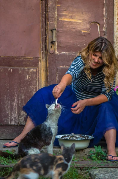 woman feeding cat with anchovy in bowl outdoors in countryside