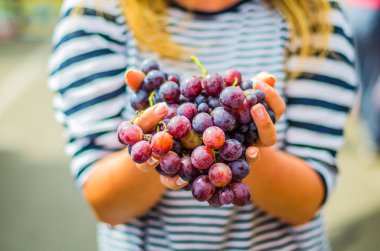 taze siyah üzüm açık havada tutan el