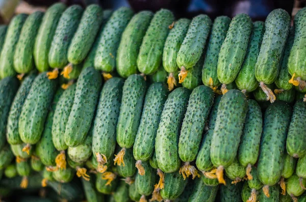 Haufen Frischer Gurken Auf Bauernmarkt — Stockfoto