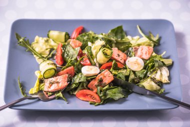 Taze sebze salatası somon ve mavi tabakta Yumurta