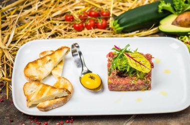 Taze tartar malzemeler ve arka plan üzerinde saman ile çiğ yumurta sarısı ve ekmek parçaları ile beyaz tabakta servis