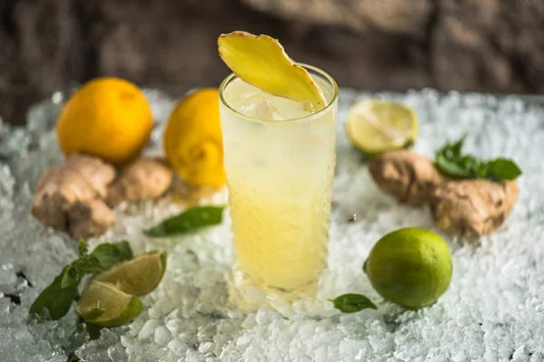 Citrus Cocktail Glas Med Ingefära Bit Toppen — Stockfoto