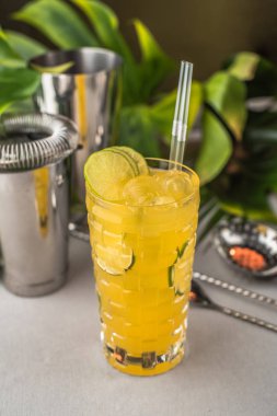 Cam barmen aletleri üzerinde arka plan ile meyve kokteyli