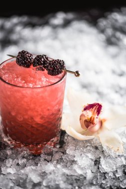 Kokteyl cam buz ile koyu arka plan üzerinde böğürtlen ile dekore edilmiş