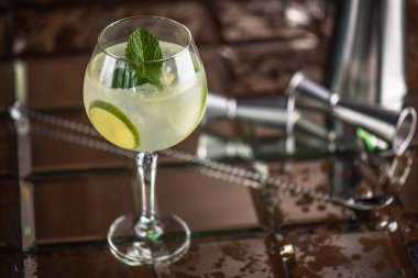 Cin tonik kokteyl cam limon ve nane kahverengi kiremitli yüzeyi ile