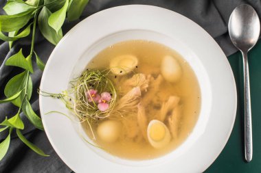 Tavuk suyu ile dekoratif yuva koyu arka plan üzerinde beyaz plaka servis