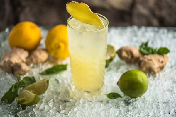 Citrus Cocktail Glas Med Ingefära Bit Toppen — Stockfoto