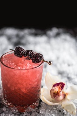 Kokteyl cam buz ile koyu arka plan üzerinde böğürtlen ile dekore edilmiş