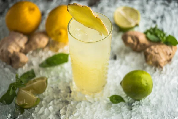 Citrus Cocktail Glass Ginger Slice Top Ice — Stock Photo, Image