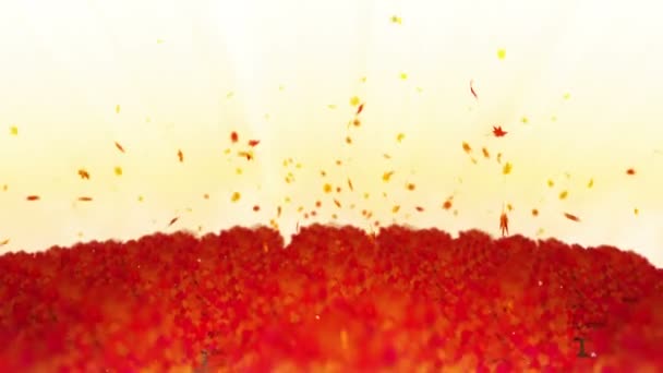秋天森林风景例证 抽象自然背景 枫叶循环动画 — 图库视频影像