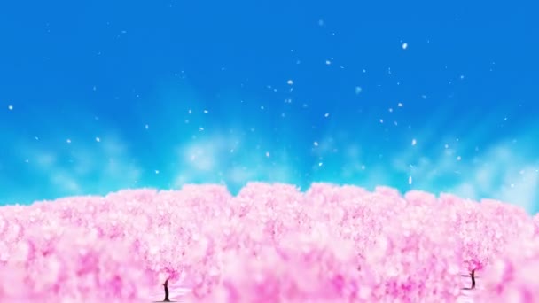 Frühling Wald Landschaft Illustration Abstrakte Natur Hintergrund Kirschblüten Schleife Animation — Stockvideo