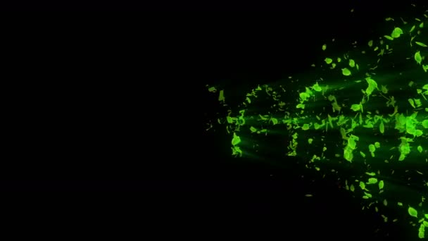 Vortex Feuilles Vertes Particule Spirale Brillante Feuilles Saisonnières Feuille Dansante — Video