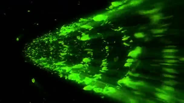 绿叶的漩涡 季节性叶子的螺旋闪亮颗粒 跳舞的叶子 五颜六色的自然隧道循环动画 — 图库视频影像