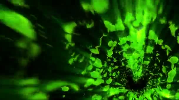 绿叶的漩涡 季节性叶子的螺旋闪亮颗粒 跳舞的叶子 五颜六色的自然隧道循环动画 — 图库视频影像