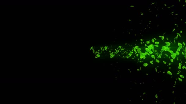 Vortex de feuilles vertes. Particule spirale brillante de feuilles saisonnières. Feuille dansante. Animation en boucle de tunnel nature colorée .