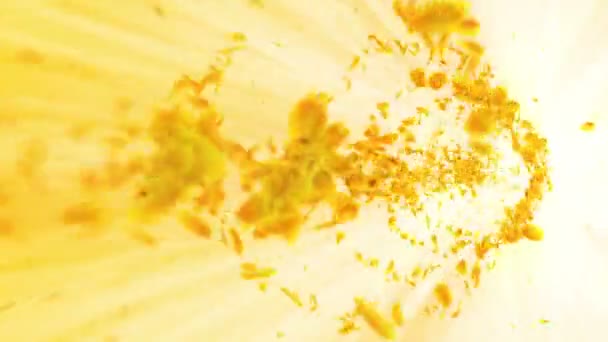Vortex Żółtych Liści Spiralna Błyszcząca Cząstka Liści Sezonowych Taniec Liści — Wideo stockowe