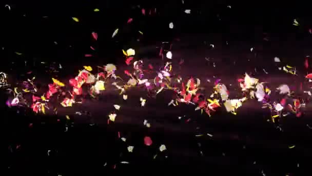 Pétalas Coloridas Pétalas Brilhantes Espiral Flores Padrão Flores Uma Pétala — Vídeo de Stock