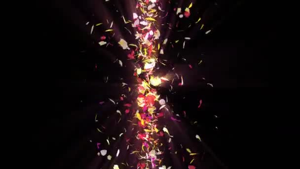 Colorful Petals Spiral Shiny Petals Blossoms Flower Pattern Pretty Dancing — Stock Video