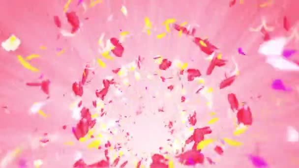 Bunte Blütenblätter Spiralförmig Glänzende Blütenblätter Blütenmuster Hübsches Tanzendes Blütenblatt Wirbel — Stockvideo