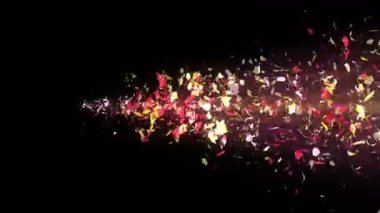 Renkli yaprakları. Çiçeklerin sarmal parlak yaprakları. Çiçek deseni. Güzel dans eden Petal. Spin yaprakları gelen Vortex. Soyut döngü animasyonu.