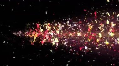 Renkli yaprakları. Çiçeklerin sarmal parlak yaprakları. Çiçek deseni. Güzel dans eden Petal. Spin yaprakları gelen Vortex. Soyut döngü animasyonu.