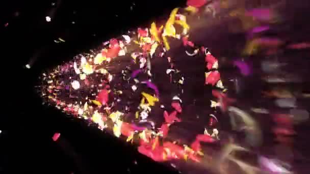 Des Pétales Colorés Spirale Pétales Brillants Fleurs Modèle Fleur Jolies — Video