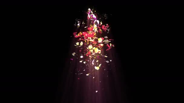 Des Pétales Colorés Spirale Pétales Brillants Fleurs Modèle Fleur Jolies — Video