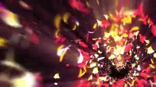 Des Pétales Colorés Spirale Pétales Brillants Fleurs Modèle Fleur Jolies — Video