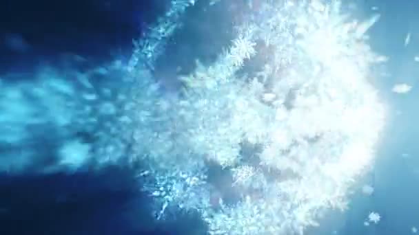 Shinning Winter Symbol Beauty Snowflakes Vortex Spin Snow Winter Pattern — Stock Video