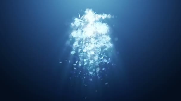 Shinning Vinter Symbol Med Skönhet Snö Flingor Vortex Från Spinn — Stockvideo