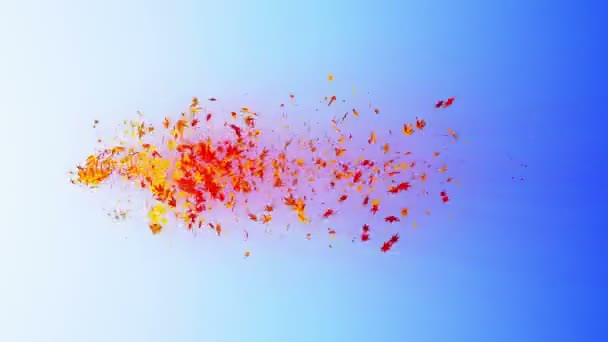 Вихрь Разноцветного Клена Листьев Спиральная Блестящая Частица Осенних Листьев Танцующий — стоковое видео