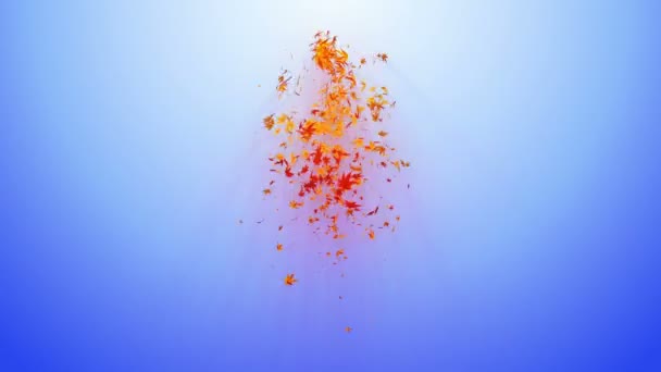 カラフルなカエデや葉からの渦 秋の紅葉のスパイラル光沢のある粒子 ダンスリーフ カラフルな自然のトンネルループアニメーション — ストック動画