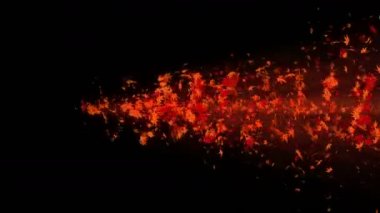 Renkli akçaağaç ve yaprakları Vortex. Sonbahar yaprakları sarmal parlak parçacık. Dans eden yaprak. Renkli doğa tüneli döngü animasyonu.