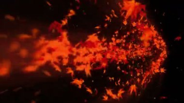 Renkli akçaağaç ve yaprakları Vortex. Sonbahar yaprakları sarmal parlak parçacık. Dans eden yaprak. Renkli doğa tüneli döngü animasyonu.