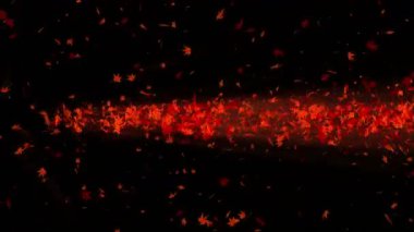 Renkli akçaağaç ve yaprakları Vortex. Sonbahar yaprakları sarmal parlak parçacık. Dans eden yaprak. Renkli doğa tüneli döngü animasyonu.