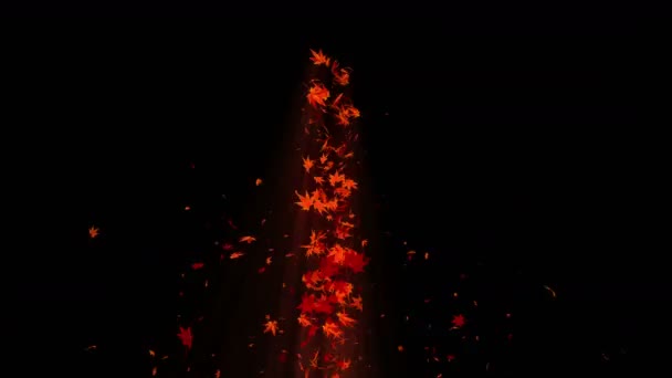 漩涡从五颜六色的枫树和树叶 秋叶螺旋闪亮的颗粒 跳舞的叶子 五颜六色的自然隧道循环动画 — 图库视频影像