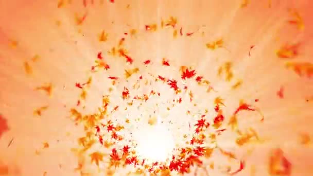 カラフルなカエデや葉からの渦 秋の紅葉のスパイラル光沢のある粒子 ダンスリーフ カラフルな自然のトンネルループアニメーション — ストック動画